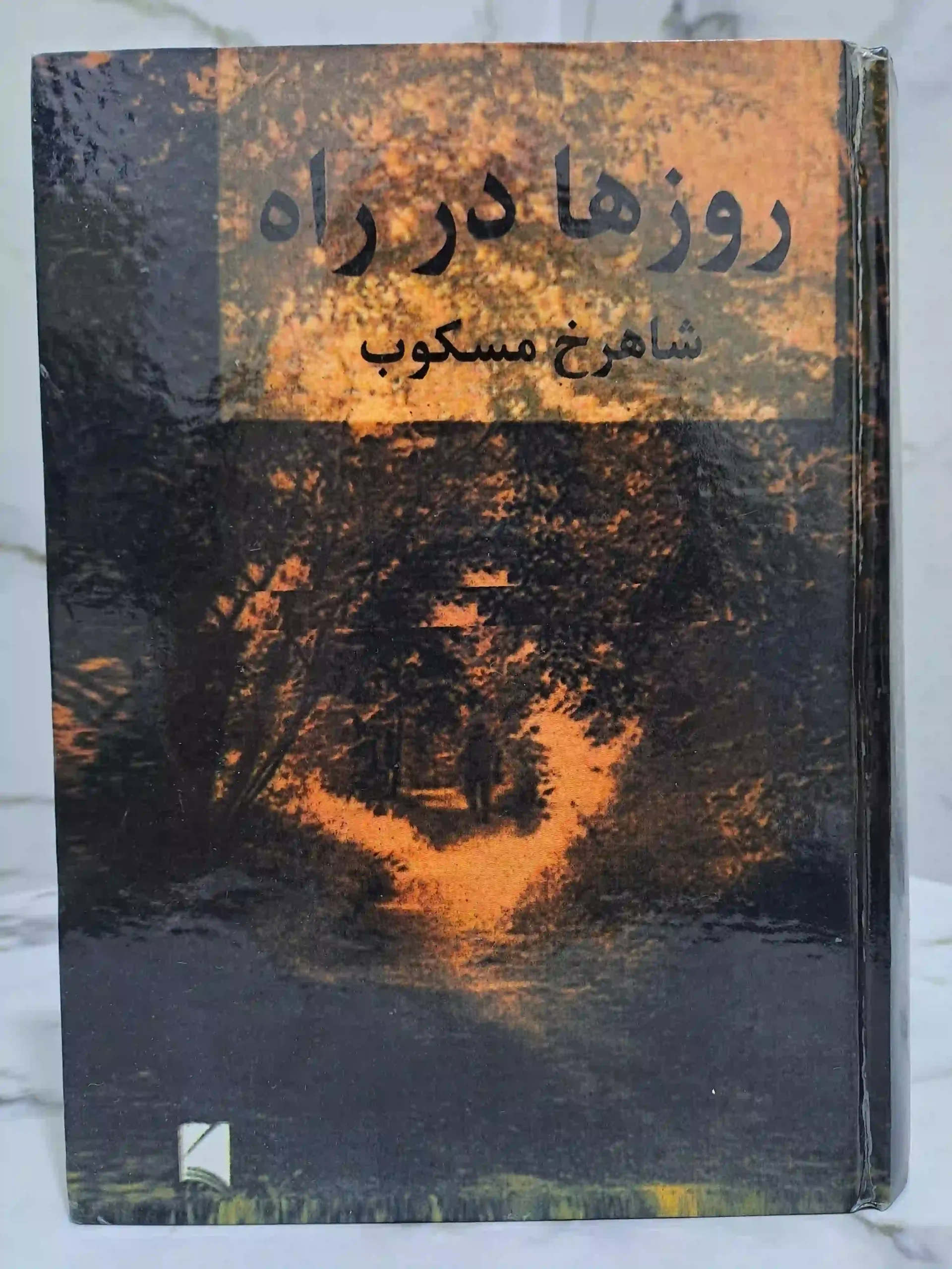 کتاب روزها در راه اثر شاهرخ مسکوب جلد سخت