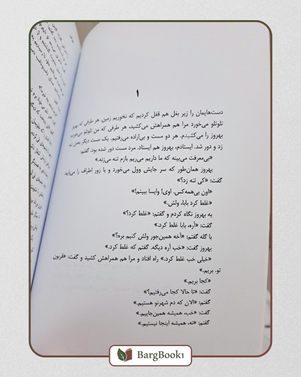 کتاب طوطی اثر زکریا هاشمی - Image 3