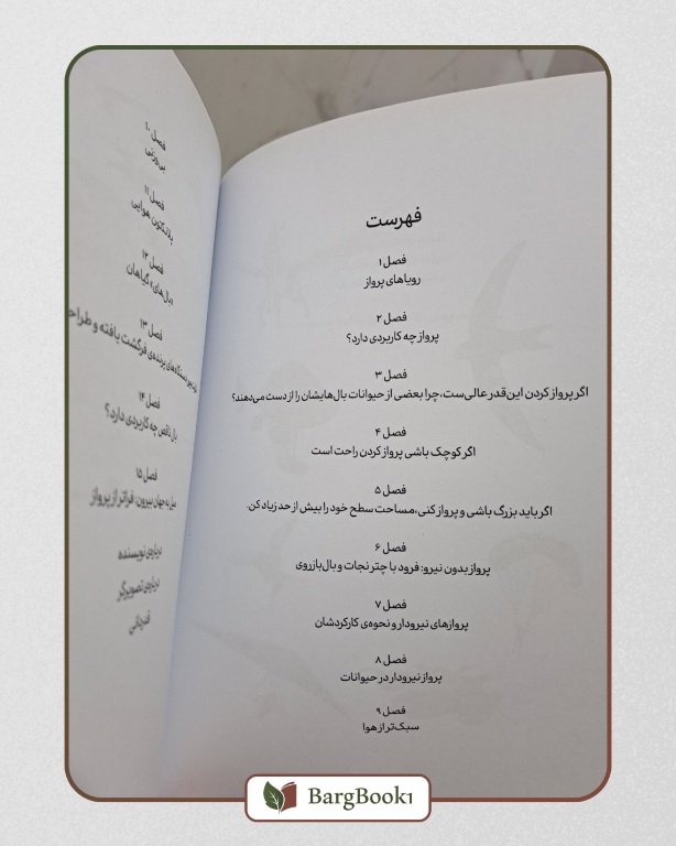 کتاب بلند پروازی های خیال (مصور ، قطع وزیری) - Image 2