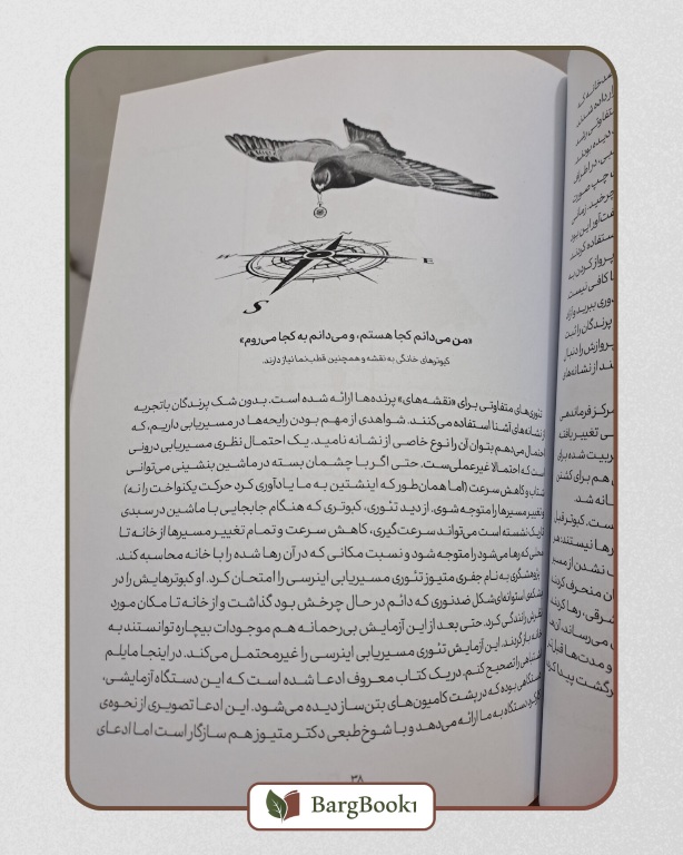 کتاب بلند پروازی های خیال (مصور ، قطع وزیری) - Image 3