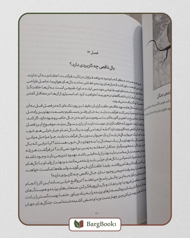 کتاب بلند پروازی های خیال (مصور ، قطع وزیری) - Image 4